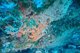 DSC02188.jpg